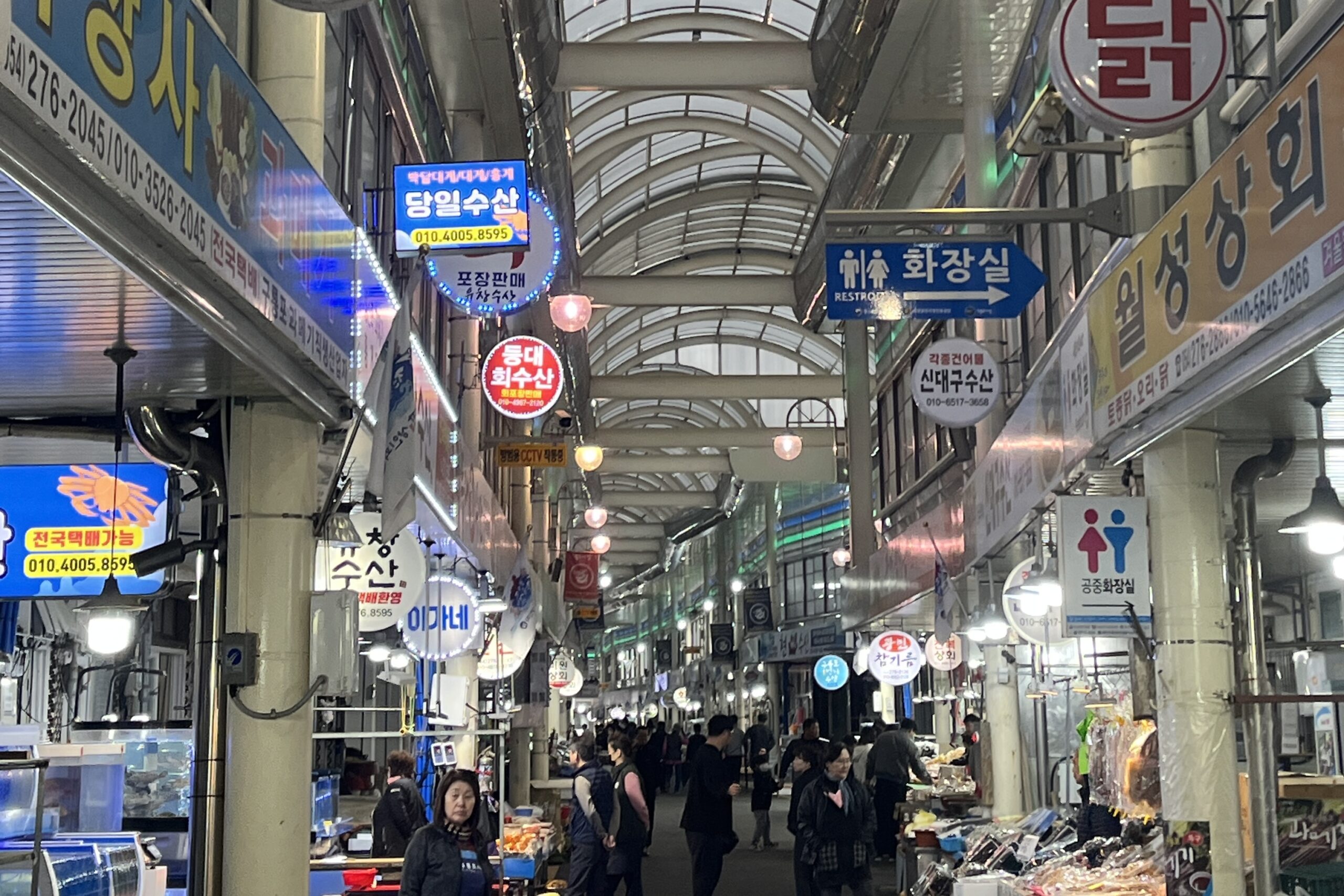 韓国に来たら一度は行ってみたい！浦項（ポハン）の港町にある市場は新鮮な魚の宝庫
