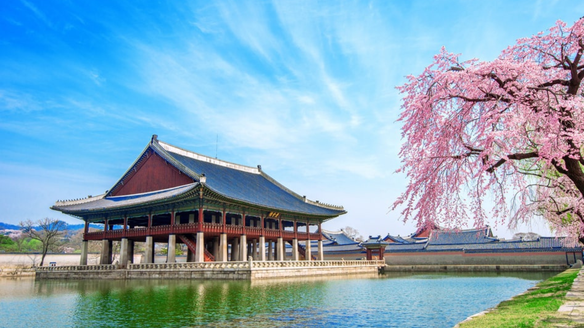 【韓国旅行】在韓日本人おすすめ！韓国ソウルの桜名所3選