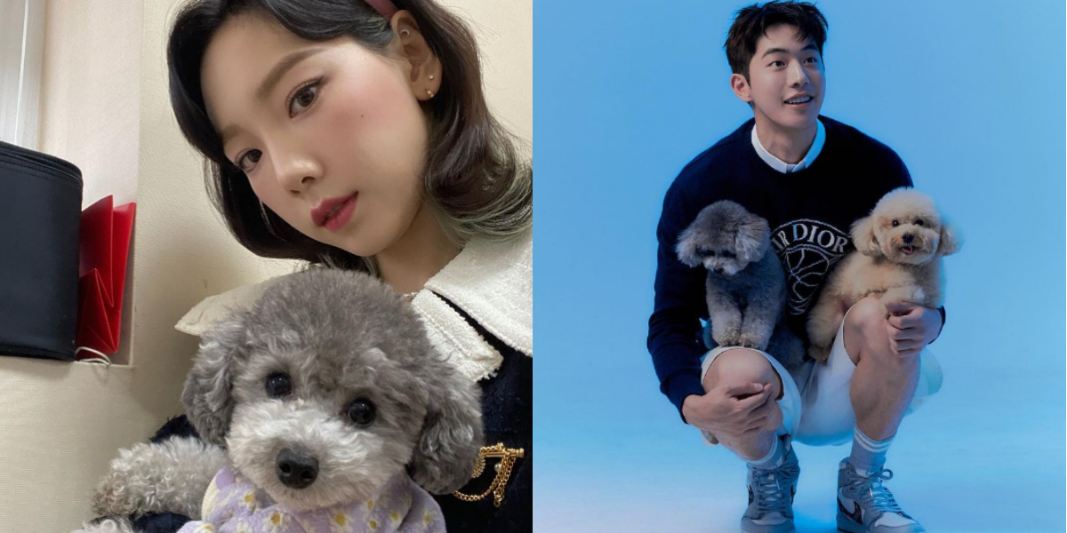 【韓国で愛されている犬は！？】韓国人が愛犬として飼っている犬種ランキング